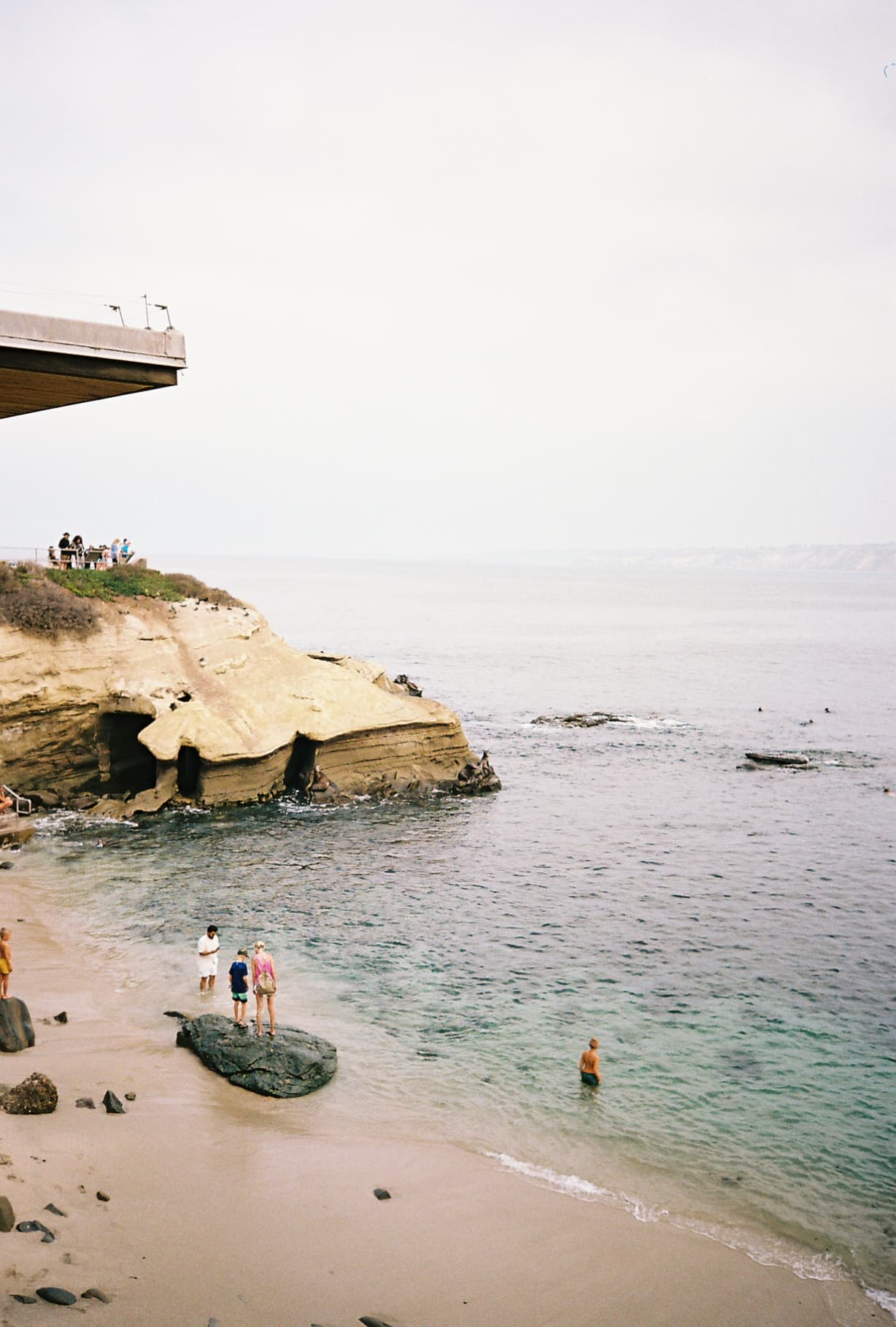 A cove at low tide, shot on film.